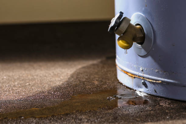 Best Water damage restoration near me  in Claxton, GA