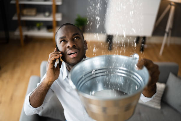 Best Flood restoration services  in Claxton, GA