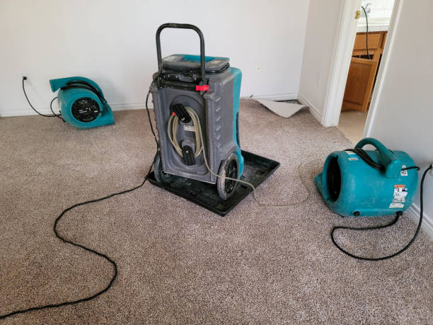 Carpet water damage restoration in Claxton, GA
