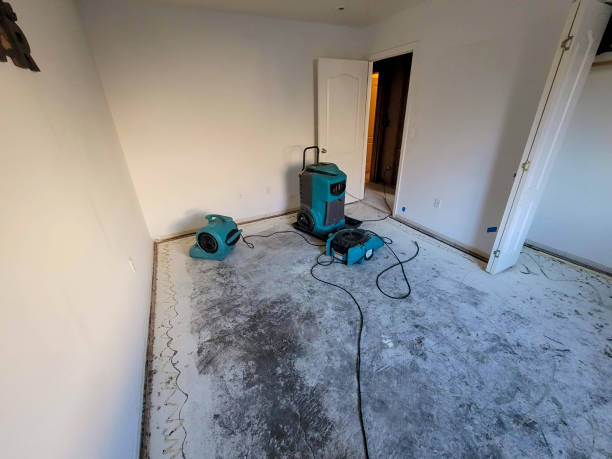 Trusted Claxton, GA Water damage restoration Experts