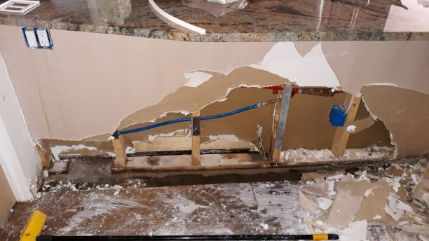 Best Local water damage restoration  in Claxton, GA