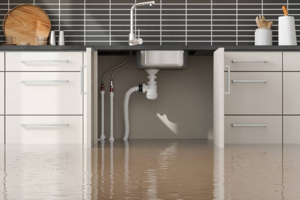 Best Basement water damage restoration  in Claxton, GA