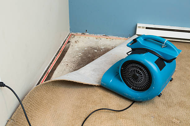 Best Ceiling water damage repair  in Claxton, GA
